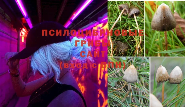 СК Алзамай