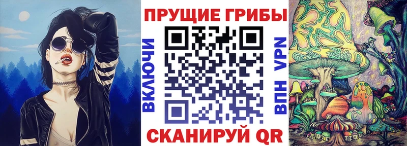Галлюциногенные грибы Psilocybine cubensis  купить наркоту  Опочка 